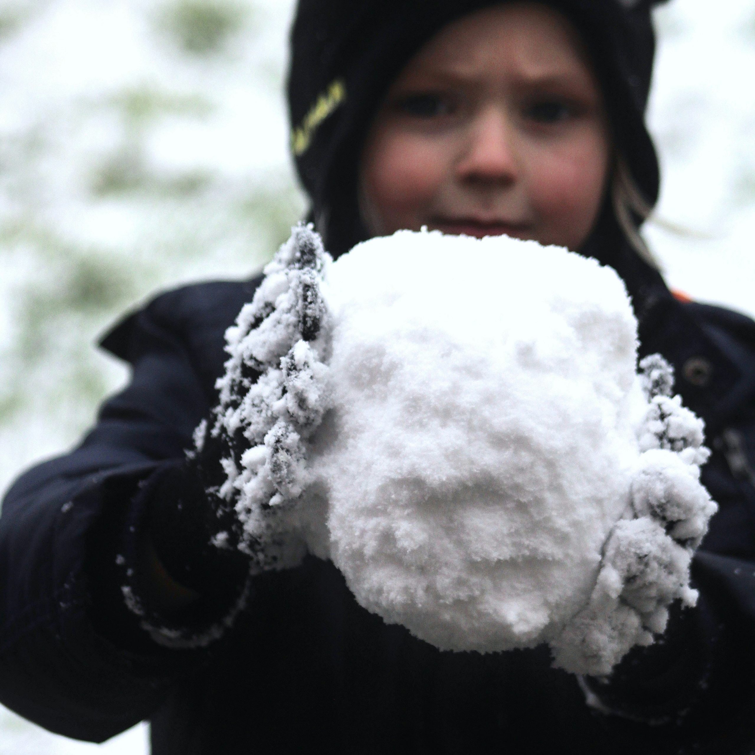 katie-gerrard-t0aMl7Vu9FQ-unsplash